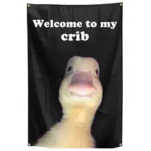 Welcome to my crib Flag